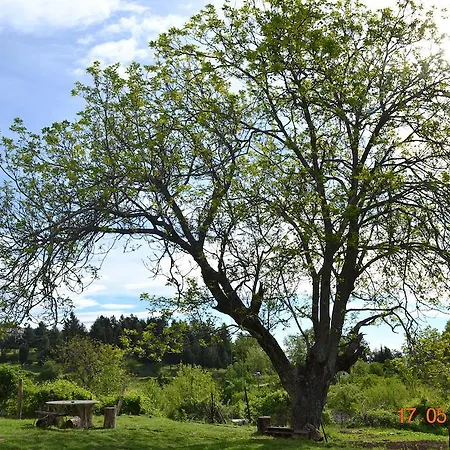 Mouson Melathron Affittacamere Elafina