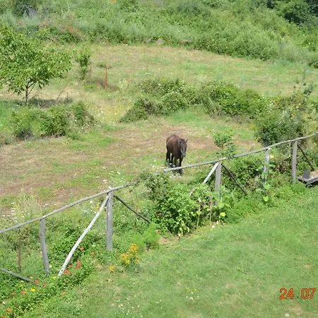 Mouson Melathron Affittacamere 3*