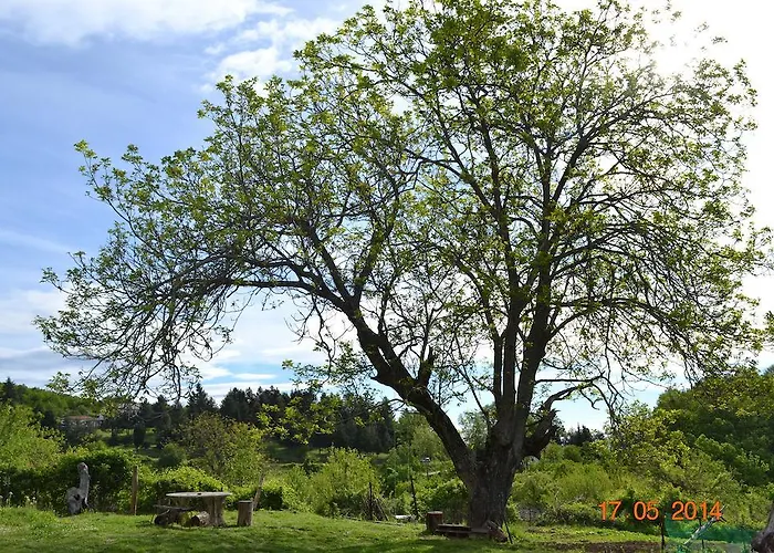 Mouson Melathron Гостевой дом Elafina