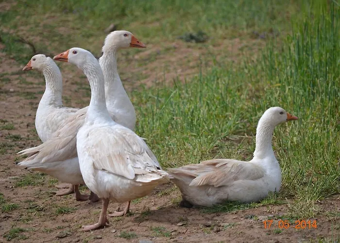 Mouson Melathron Гостевой дом