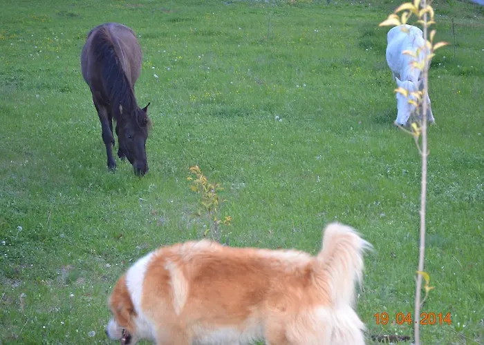 Гостевой дом Mouson Melathron 3*