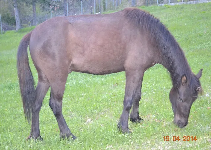 Mouson Melathron Гостевой дом Elafina