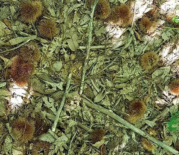 Mouson Melathron Гостевой дом