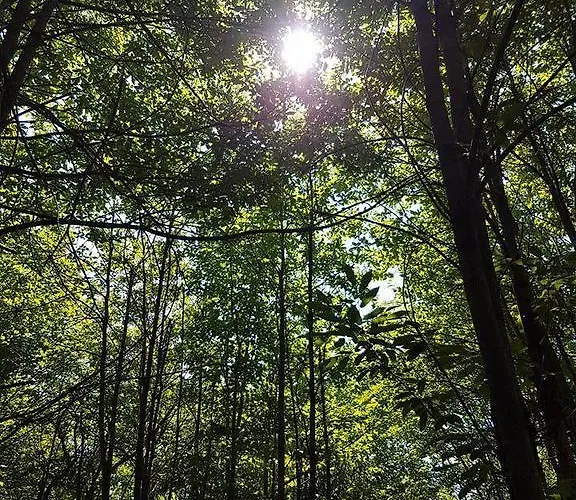 Гостевой дом Mouson Melathron