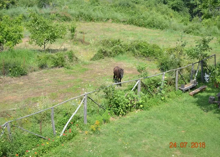 Mouson Melathron Гостевой дом 3*